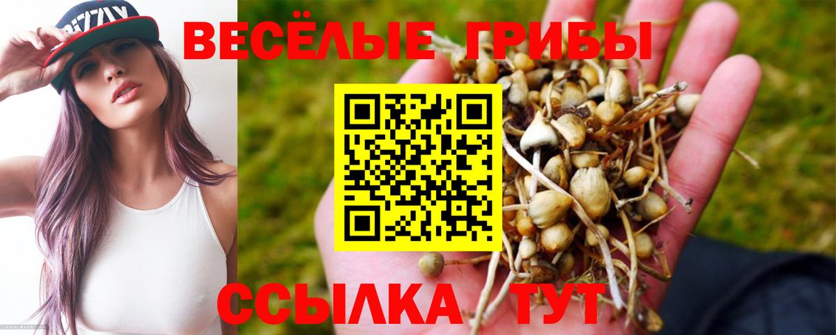 Надым  Галлюциногенные грибы ЛСД  Вход с VPN 